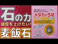 【硬水飼育】麦飯石を初めて導入。お前の力見せてみろ！ スドー メダカのろ材(300g)【ふぶきテトラ】