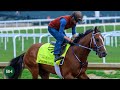 The final day of 2024 kentucky derby 150 training 5324 kentucky oaks day