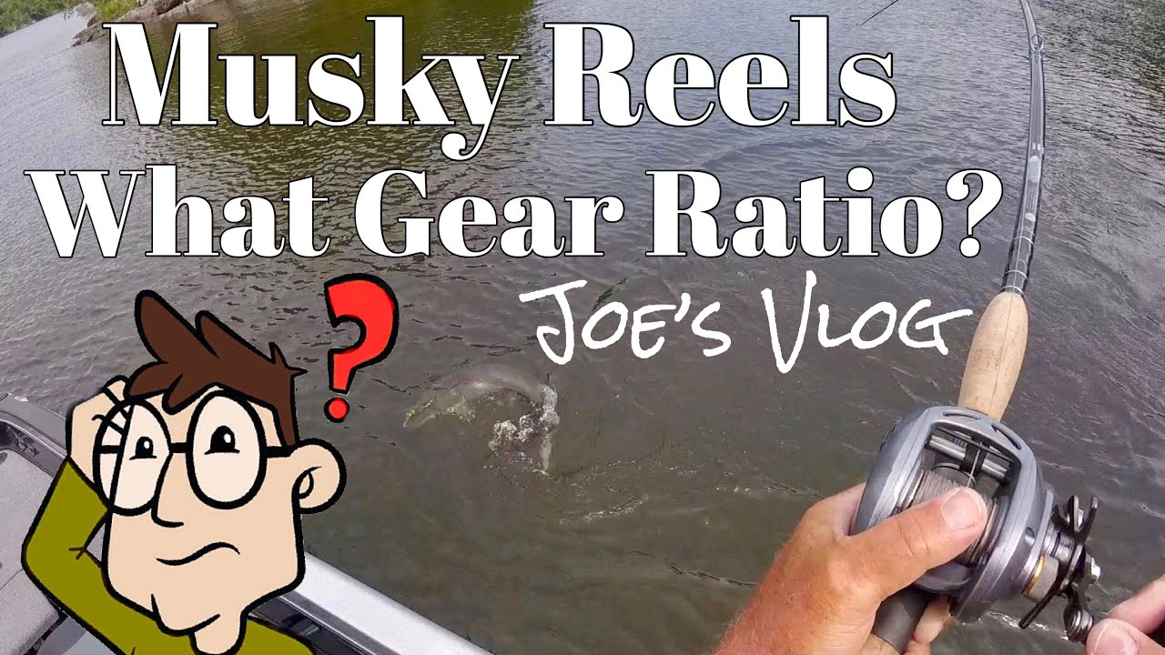 Musky Reels–What Gear Ratio? | Joe's Vlog | Fishing with Joe Bucher