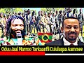 Oduu Aammee Guyyaa Hardhaa Adooleessa 19 2025 Tarkaanfii Cululuqaa Addaa WBO Afaan Oromoo Oduu Aammee Guyyaa Hardhaa Adooleessa 19 2025 Tarkaanfii Cululuqaa Addaa WBO Afaan Oromoo