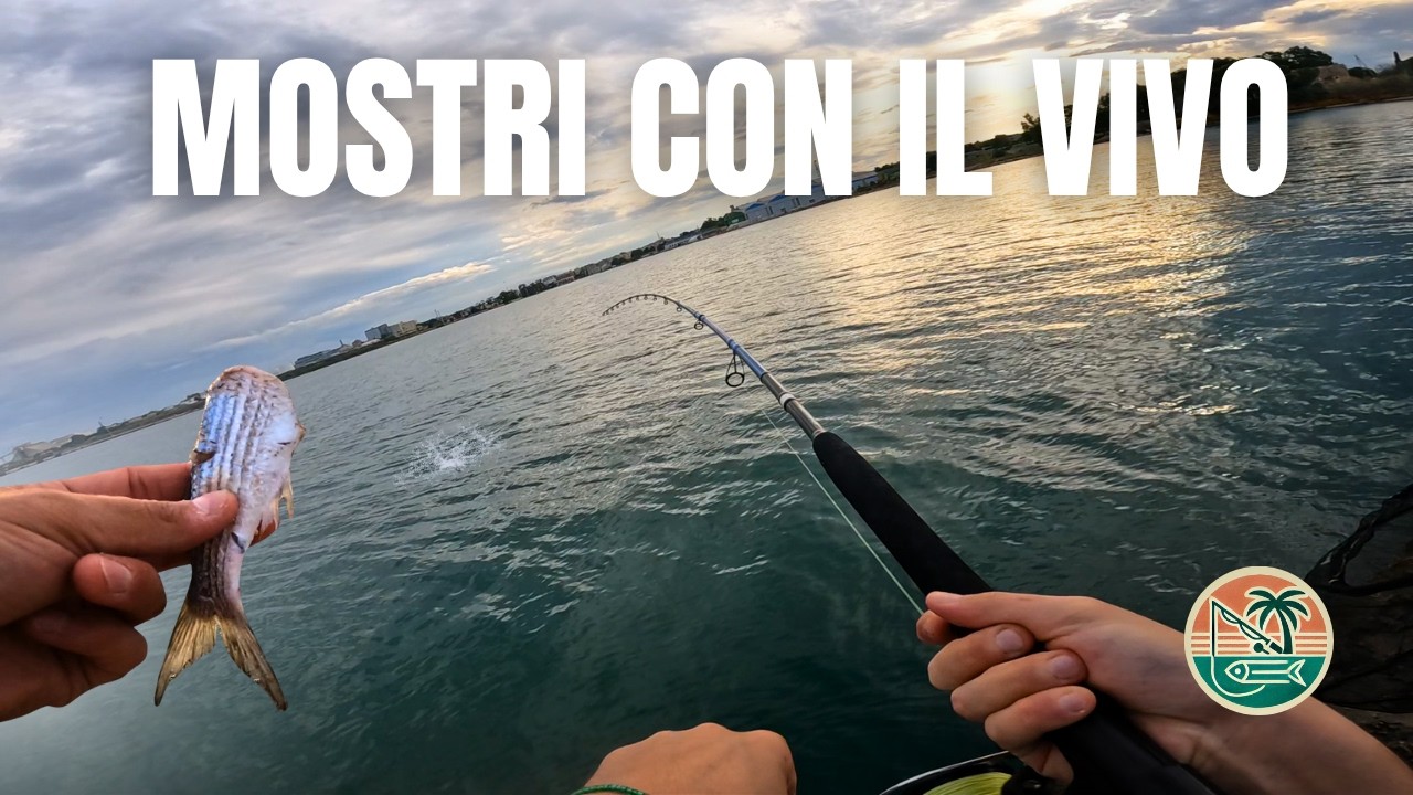 PESCI ENORMI CONTRO CEFALI VIVI E CANNE DA SPINNING - Utilizzo Improprio ep.5