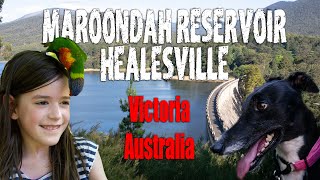 Maroondah Reservoir, Healesville, Victoria, Australia