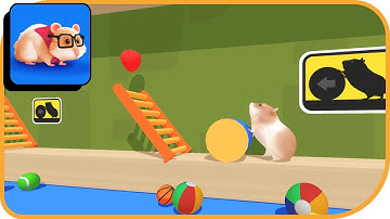 Hamster Maze - All Levels Gameplay Android,ios (Levels 1-10) | ZPLAY Games | adventure  | HayDay