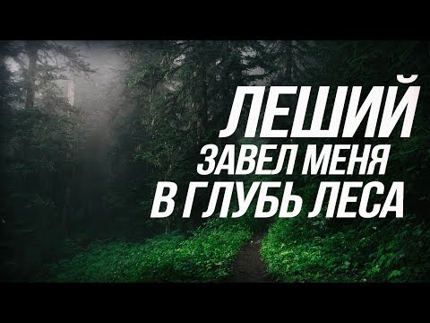 ЛЕШИЙ МЕНЯ ВОДИЛ ПО ЛЕСУ/ ЗАГАДОЧНАЯ ИСТОРИЯ