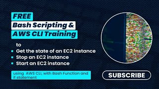 Learn How to Control EC2 Instances with Bash Scripting Functions & Conditional Statements