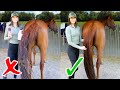 10 EQUESTRIAN HACKS! (That actually work!)