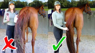 10 EQUESTRIAN HACKS! (That actually work!)