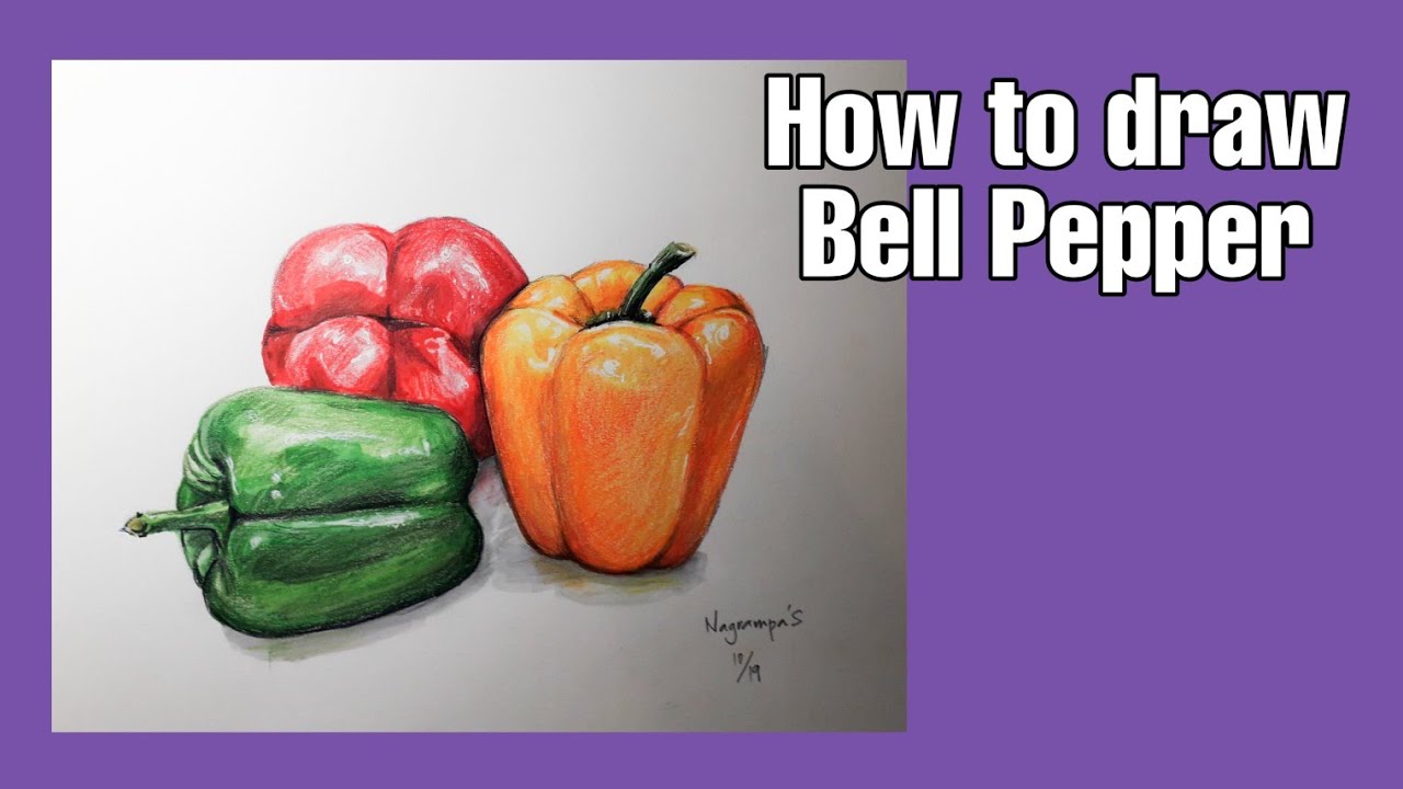 How to draw Bell Pepper - YouTube