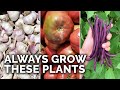 9 Plants You Should ALWAYS Grow