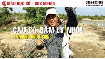 Câu cá đầm Lý Nhơn