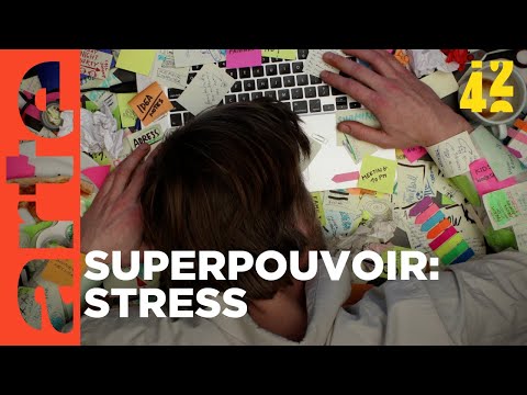 Le stress nous fait-il du bien ? | 42, la réponse à presque tout | ARTE