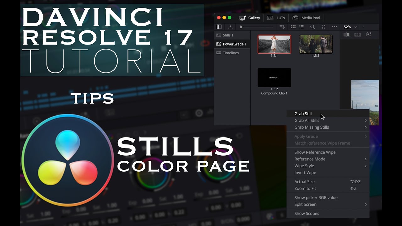Best Tips of STILLS in DaVinci Resolve DaVinci Resolve 17 Tutorial