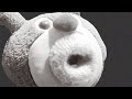 pog toy