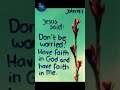 Jesus Said Don't be worried Have faith in God and have faith in me
