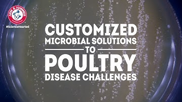 Lab View of How CERTILLUS and Microbial Terroir Build Resiliency in Poultry Operations