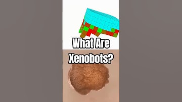 Xenobots: The Remarkable Living Robots Reshaping the Future #science #xenobots #nature