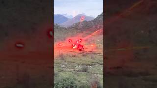 Bear Frightened by Exploding Flares! 🐻🚨 | Shocking Scene in the Mountains#shorts #bear #fireworks