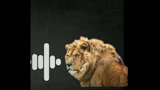 go down deh ringtone #ringtone #king #go #heart of ringtone