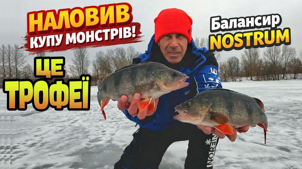 ⚡ ТРОФЕЙНІ ОКУНІ НА БАЛАНСИР ⚡