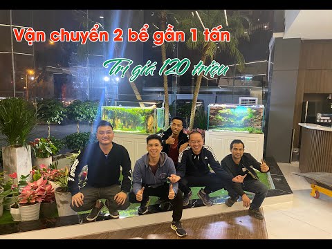 Video Vận chuyển 2 bể thủy sinh gần 1 tấn trị giá 120 triệu... - youtube