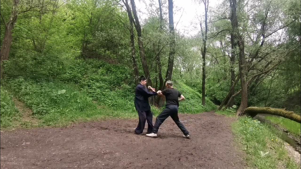 Цзю сюань лун мэнь пай. Кулачные методы ворот Дракона. Хунь юань тай ...