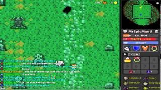 RotMG hacker report