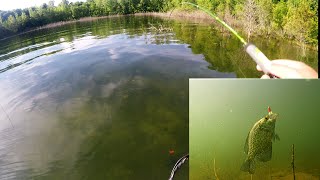 Sight fishing for Crappie in Super CLEAR Lake (Underwater Footage)