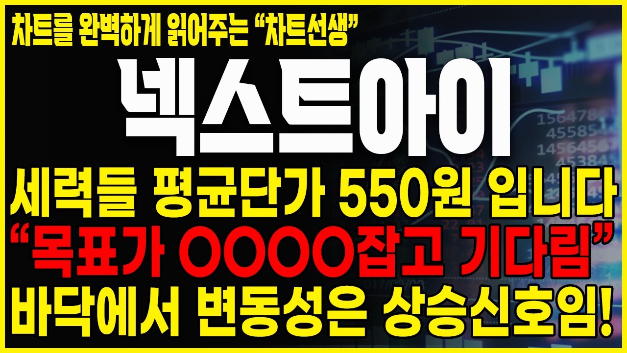 [넥스트아이 주가분석] 