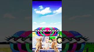 white Colors Cute Cat  Baby   Vshorsetraindriver Tom Vfx funny  comedy vfx 