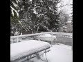 Winter in Canada Victoria BC Feb.2021