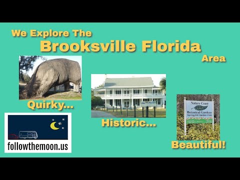 Video: ¿Qué hacer en Brooksville, Florida?