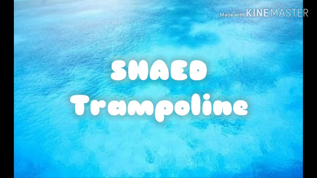 SHAED Trampoline Lyrics Video Unique Lyrics YouTube