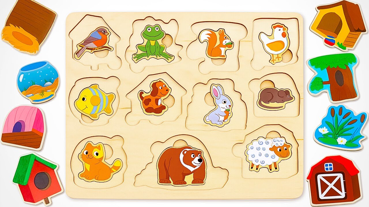 動物ホームのなぞ Learn Where Animals Live | Animal Homes Activity Puzzle | Learning