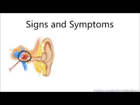 Otitis Media Adult Youtube