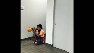 The Pongos Mannequin Challenge.