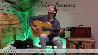 Javier Castaño 2023 flamenco guitar for sale played by José Andrés Cortés