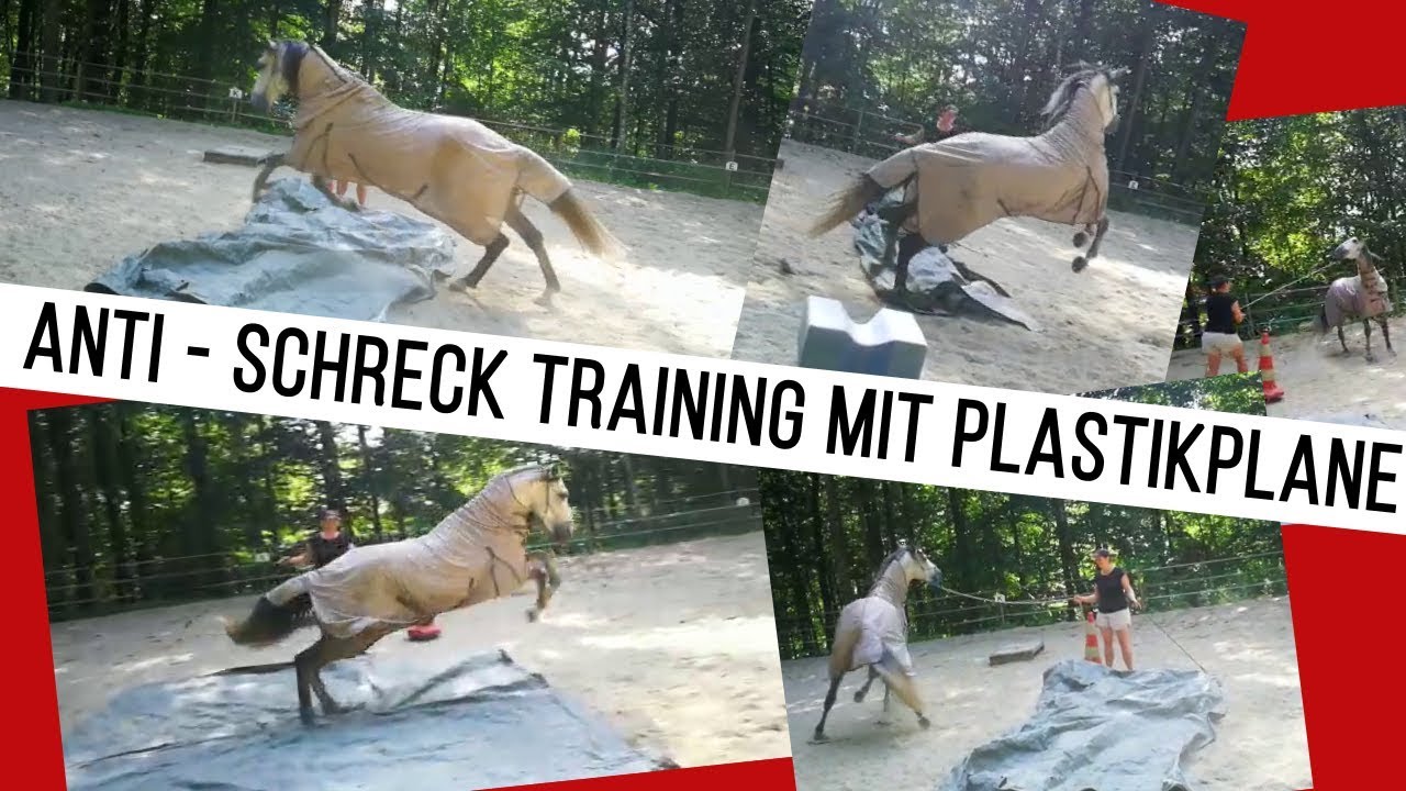 Pferd in Panik - Die verrückte Plastikplane :-D