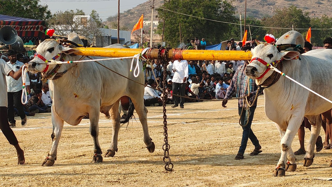 యాడికి గ్రామం సీనియర్స్ విభాగానికి 3వ జత విక్రమ్ యాదవ్ గారు PR పల్లి నంద్యాల జిల్లా