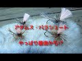 アダムス・パラシュート   やっぱり最強かも!?