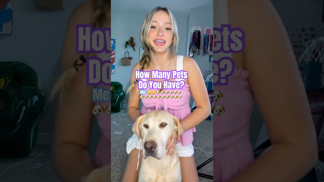 How Many Pets Do U Have🫣  