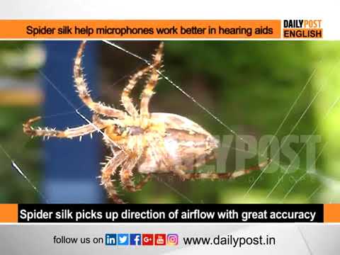 Spider silk can help microphones work better in hearing aids