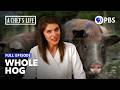 Using the Whole Pig with Vivian Howard | Full Episode | A Chef's Life