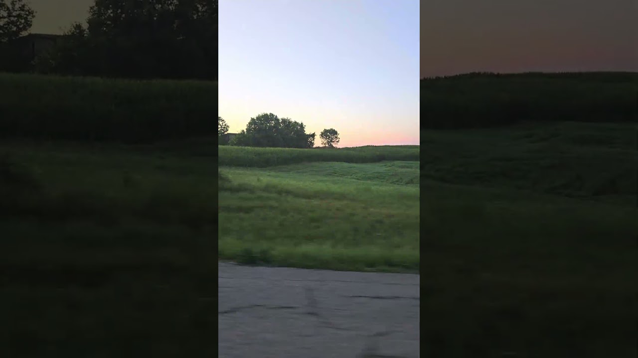 Corn check: Kentucky is looking very healthy!