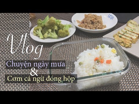 Video: Cá Thu đóng Hộp