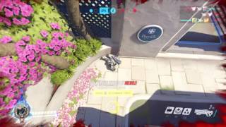Overwatch: D Va kills herself