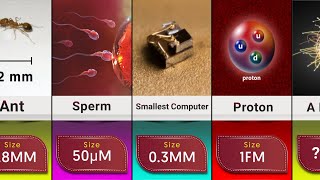 Comparison: The smallest things in the world
