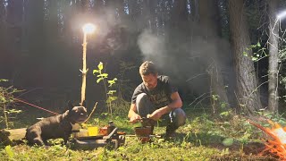 Camping with my French bulldog in the gloomy forest | Overnight in the tent