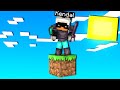 GIOCO A MINECRAFT MA CON UN SOLO BLOCCO - ITA