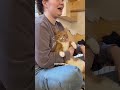 This Cats' Limbs are Made of Candy