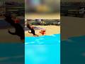 A Cat And A Mouse Fight At The Beach #gaming #gamingshorts #funny #tomandjerry
